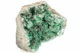 Fluorescent Green Fluorite Cluster - Diana Maria Mine, England #208858-2